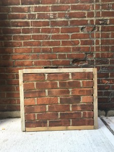 blog-news-06-8-2016-rozzie bricks